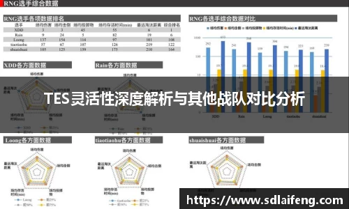TES灵活性深度解析与其他战队对比分析