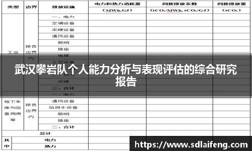 武汉攀岩队个人能力分析与表现评估的综合研究报告