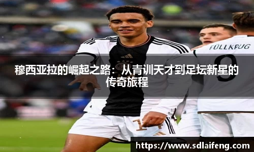 雷竞技raybetapp官网