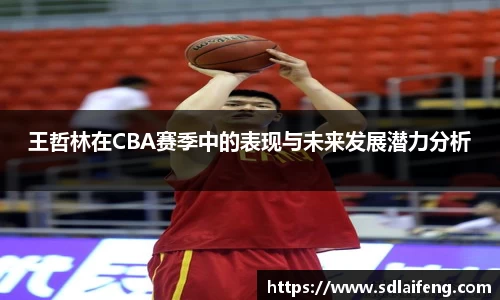 王哲林在CBA赛季中的表现与未来发展潜力分析