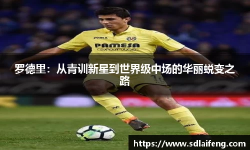 罗德里：从青训新星到世界级中场的华丽蜕变之路
